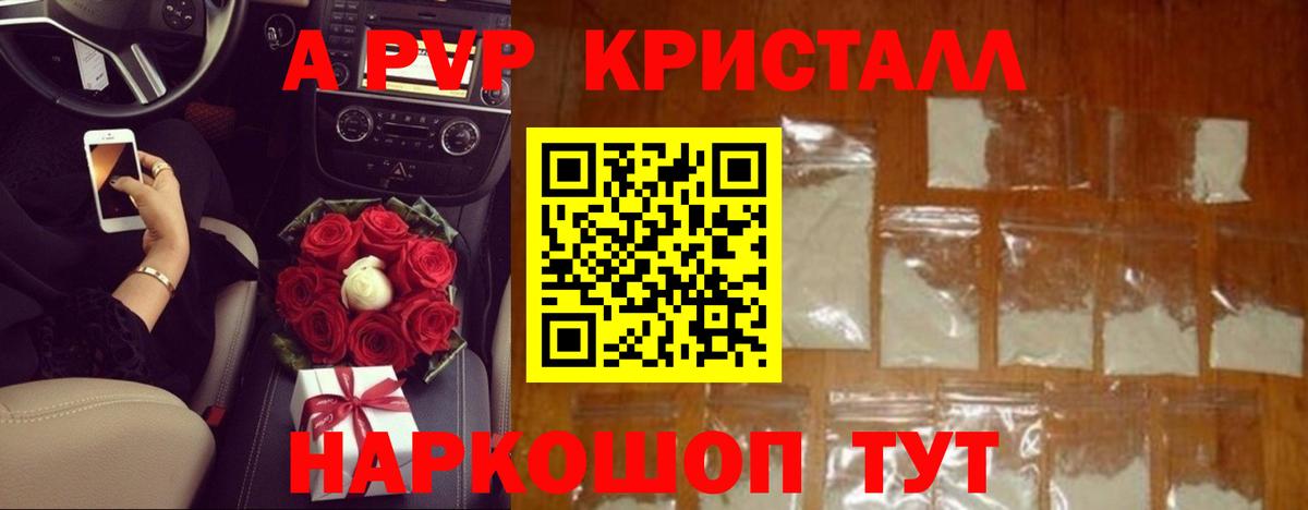 A PVP крисы CK Чита