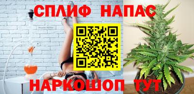 хмурый Гусь-Хрустальный