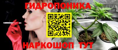 индика Гусиноозёрск