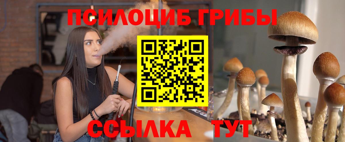 Галлюциногенные грибы прущие грибы  Вход с VPN  Чита 